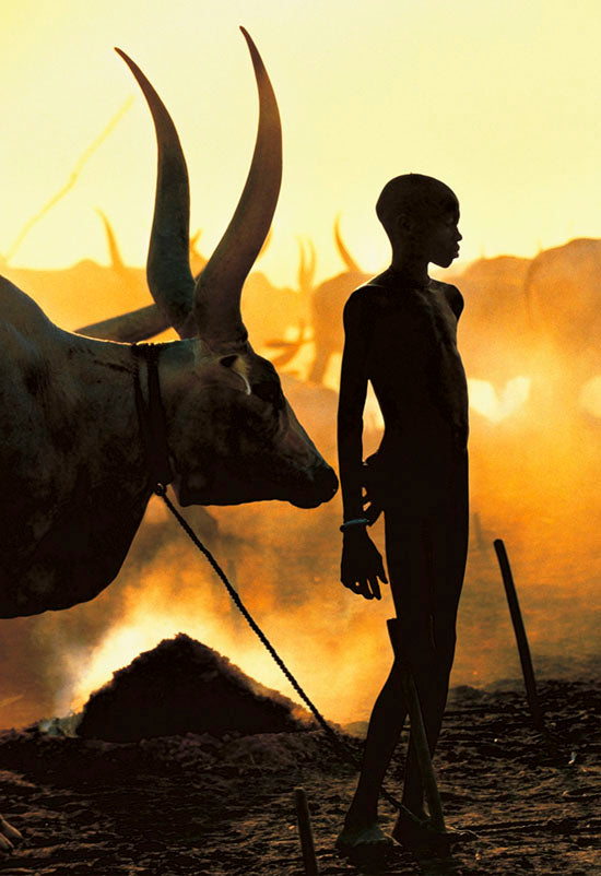 Dinka Boy with Namesake Ox, South Sudan