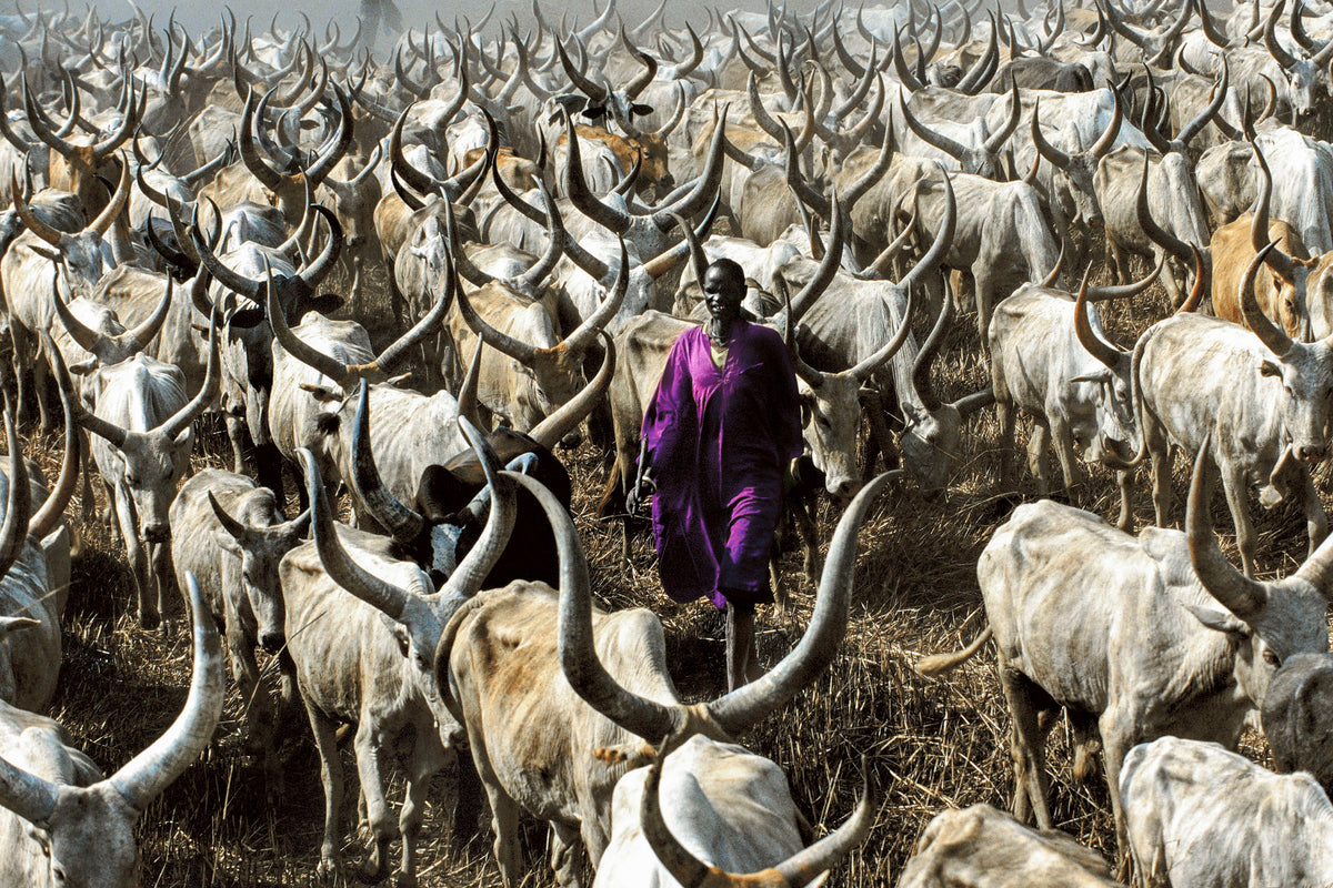 Dinka Herder in Purple Robe, South Sudan