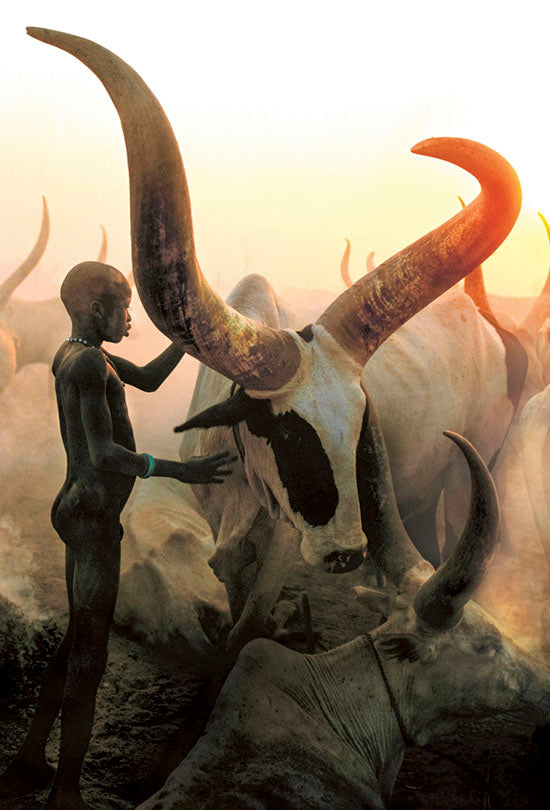 Dinka Boy with Long Horned Bull, South Sudan